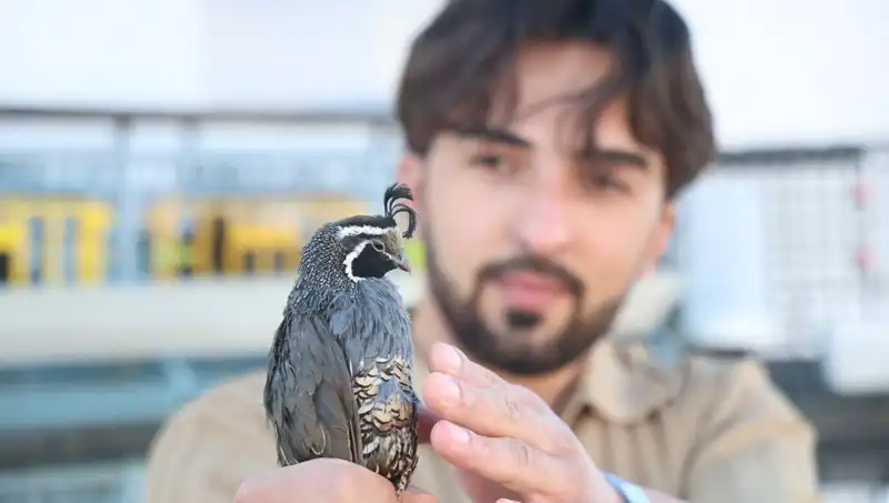 ABD'ye 17 Tür Tahıl Sipariş Eden Genç Çiftçi Dünyayı Dolaşıyor