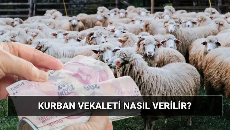 Vekaletle Kurban Kesimi: 2025 İçin Diyanet’in Belirlediği Bedel ve Süreç