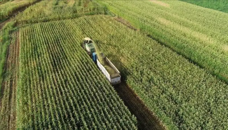 2025 Mart Ayı Mazot ve Gübre Desteği Ödemeleri Hakkında Son Gelişmeler