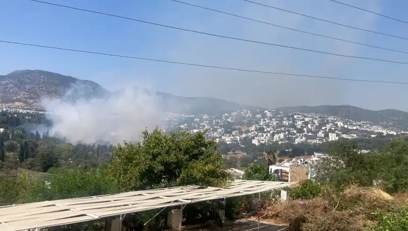 Muğla Orman Yangınları Kontrol Altına Alındı: Son Durum Nedir?