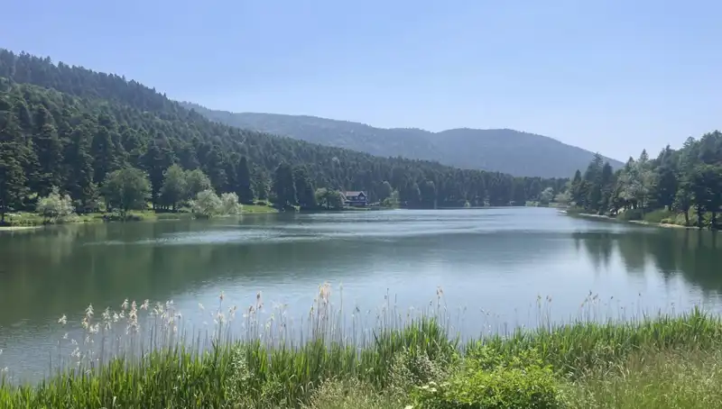 Bolu'nun Büyüleyici Milli Parklarına Ziyaretçi Akını: Doğa Severleri Buraya!