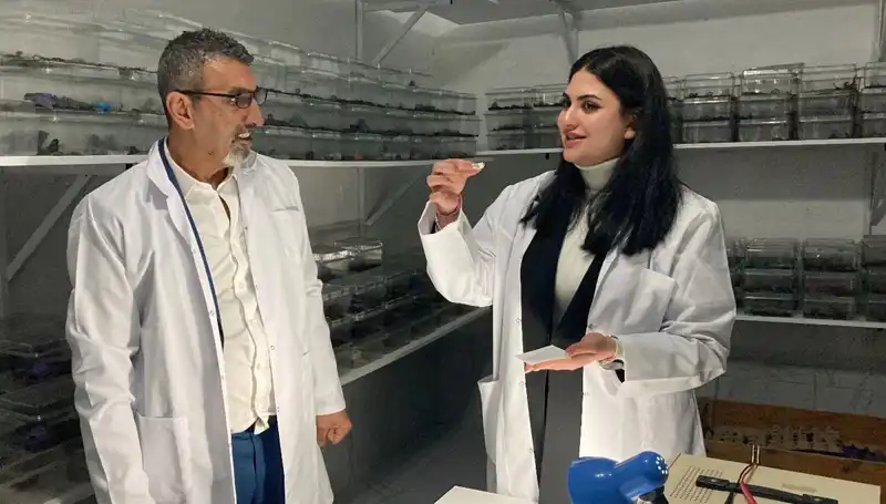 Akrep Zehriyle Şeker: Şaşırtıcı Yeni Beslenme Trendleri