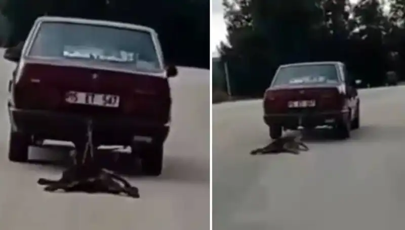 Köpeğini Otomobilin Arkasına Bağlayan Sürücüye Tepki Yağdı!