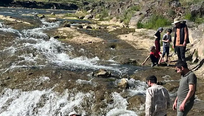 İnci Kefalinin Göçü: Doğanın Harikası Turistleri Büyülemeye Devam Ediyor