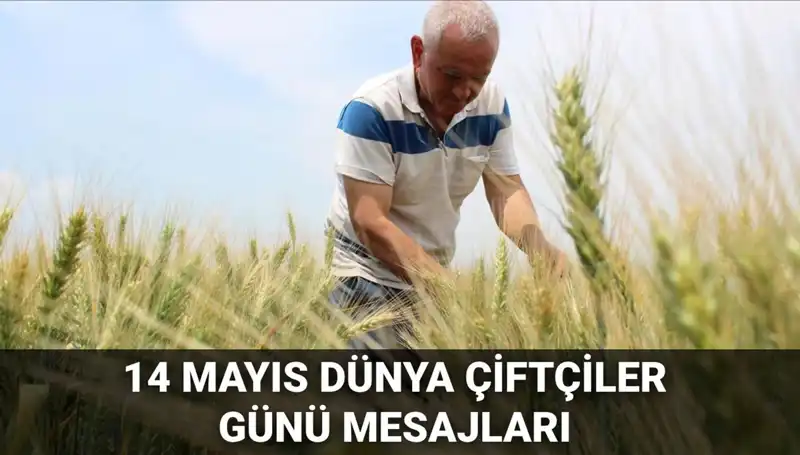 14 Mayıs Dünya Çiftçiler Günü: Emekleriyle Toprağı Canlandıranları Anma Zamanı