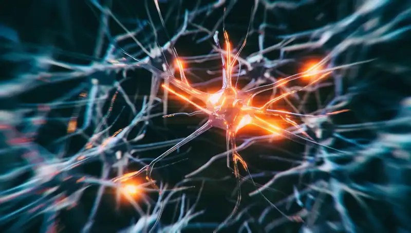Alzheimer Vakalarındaki Artışın Sebepleri Neler? Uzmanlar Yanıtlıyor