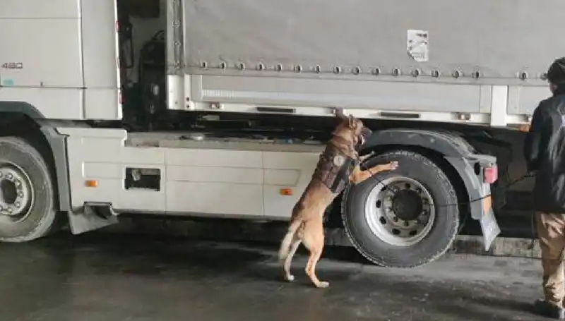 Limanda Şok Uyuşturucu Operasyonu: Yüzlerce Kilo Esrar Ele Geçirildi!