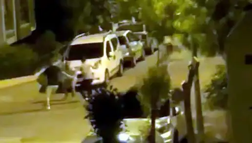 Avcılar’da Vatandaşa Saldıran 3 Kişi Çevredekilerin Müdahalesiyle Durduruldu