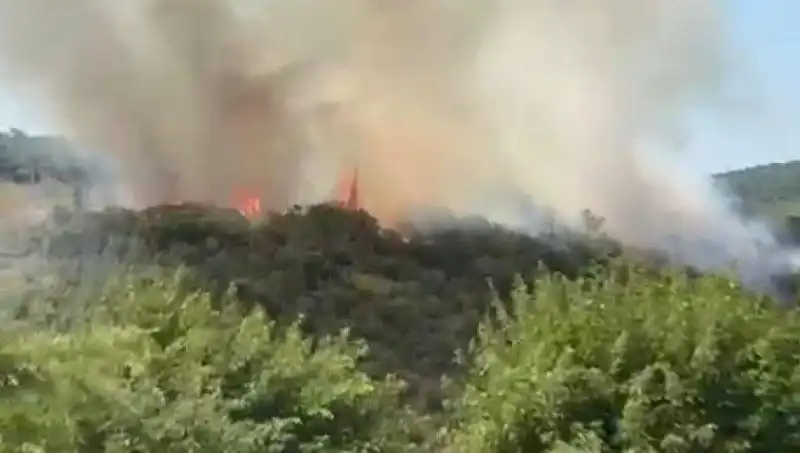 İstanbul'da Orman Yangını Paniği: Tahliye Kararı Alındı