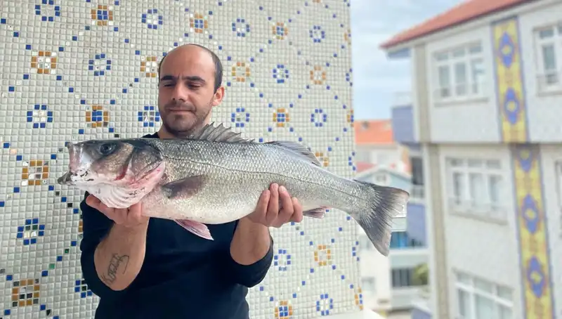 7,5 Kiloluk Dev Levrek Avı: Balıkçıların Şansına Düşkün Anı