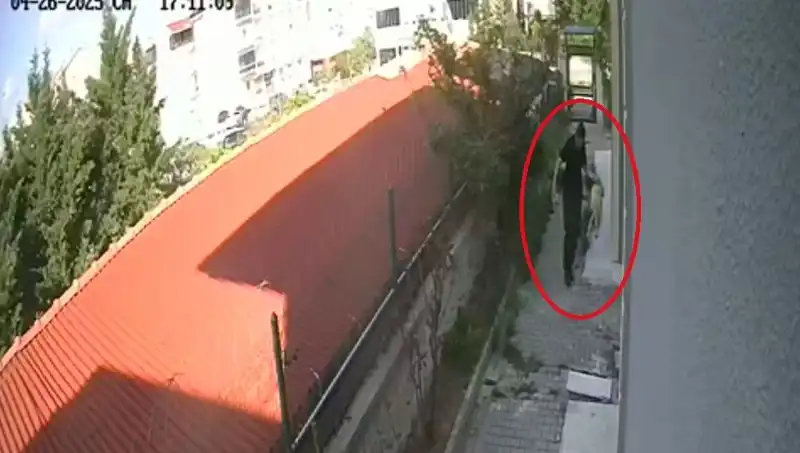 Veteriner Doktorun Şok Edici Suçu: Sahiplendiği Köpekleri Katletti!