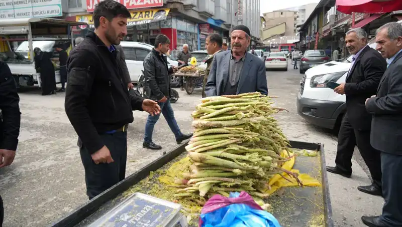 Şekerin Sağlık Faydaları: Kanser ve Mide Hastalıklarına İyi Gelebilir mi?