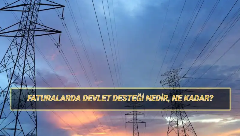 2025'te Doğalgaz ve Elektrik Faturası Devlet Desteği: Kimler Başvurabilir?