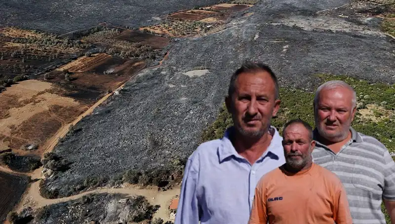 Çeşme Yangınında Yıkıma Uğrayanlar: Kayıplar ve Yeniden Başlama Umudu