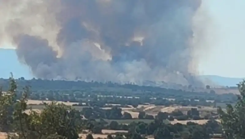 Edirne’yi Dumana Boğan Komşuluk: Orman Yangını Tehlikesi