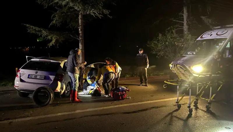 Ağaca Çarpan Araçta Tragedi: Bir Hayat Kayıp, İki Yaralı