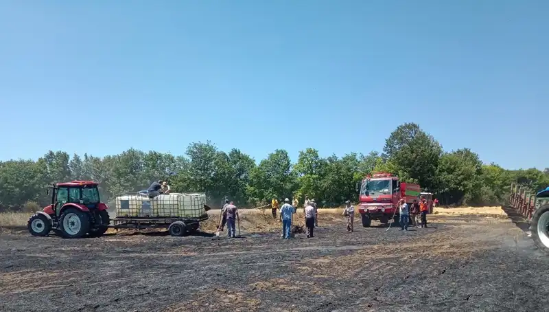Tarım Alanında Facia: Buğday Tarlasındaki Yangın 10 Dönüm Zarar Verdi