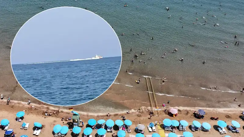 Plajda Köpek Balığı Korkusu: Sahil Boşaltıldı, Gerçekler Acaba Ne?