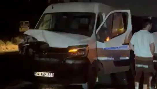 İstanbul'da Manda Kazası: Üç Kişi Yaralandı, Olayın Açıklaması Şok Etkisi Yarattı