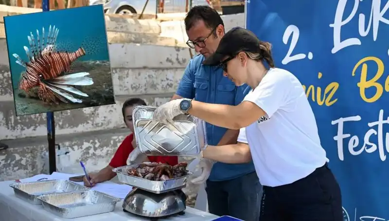 Antalya'da Heyecan Dolu İstilacı Aslan Balığı Avlama Yarışması Başlıyor