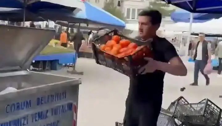 Domates İsyanı: Pazarcıya Çöpe Döktüğü Domatesler İçin Rekor Ceza