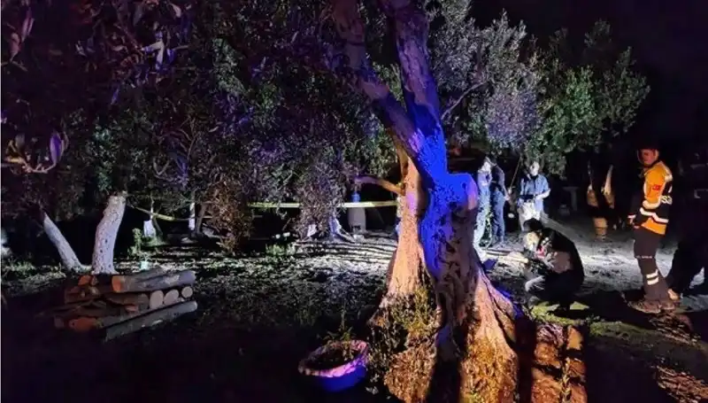 Çiftlikteki Baltalı Vahşete Son Veren Tutuklama Görüşmelerine Başlandı