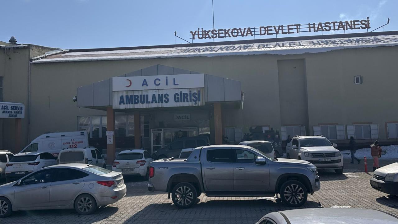 Başıboş Köpeklerin Saldırısıyla Ölen Çocuk Olayında Soruşturma Başlatıldı