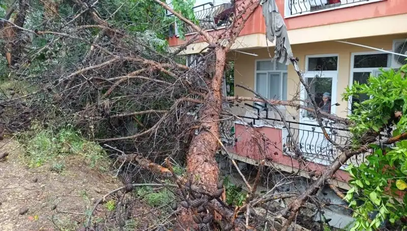 Yağmurların Ardından: Bina Yıkıldı, Hayat Durma Noktasına Geldi
