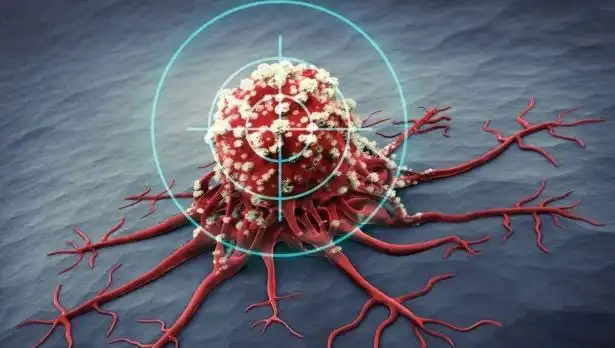 Prostat Kanseriyle Mücadelede Etkili 6 Besin: Bilimsel Gerçekler