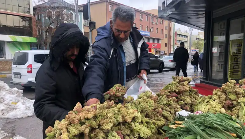 Kendiliğinden Yetişen Sağlık Deposu: Kanserin Yeni İlaç Adayı