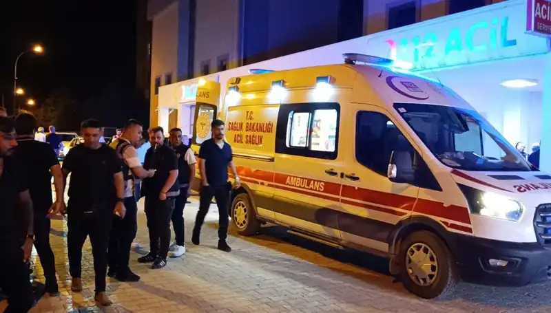 Kardeşinin Kavgasına Müdahale Eden Genç Hayatını Kaybetti