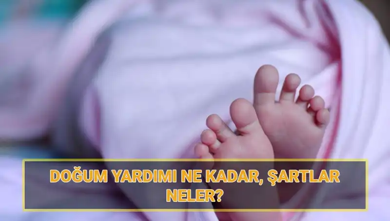 2025 Çocuk Parası Başvuru Ekranı Açıldı! Doğum Yardımı Miktarı ve Şartları