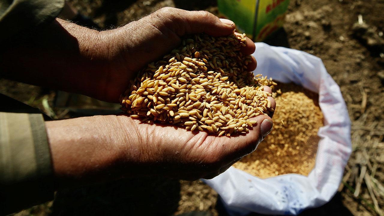 Ata Tohumları Artık Tarım Kredi Marketlerinde de Satılacak
