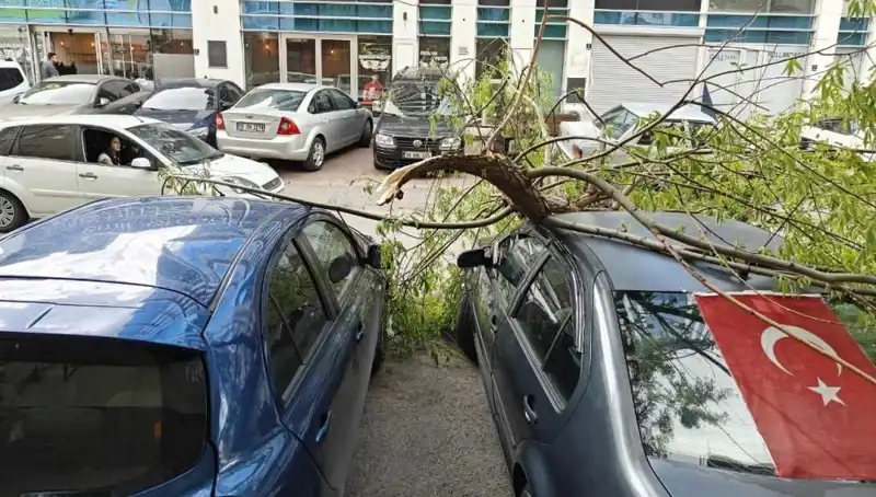 Kayseri'yi Vuran Fırtına: Dallar Kırıldı, Hayatlar Etkilendi