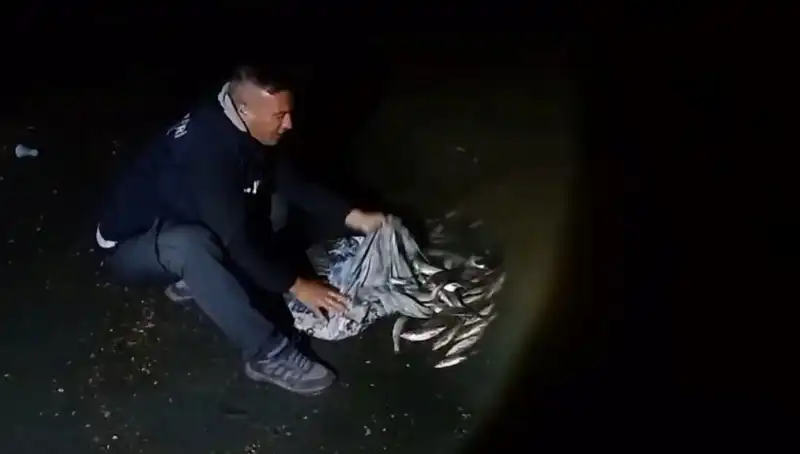 İnci Kefali Avında Rekor: Bir Ton Balık Yakalandı!