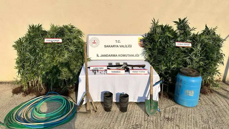 Sakarya'da Uyuşturucu Operasyonu Düzenlendi: Bir Kişi Tutuklandı