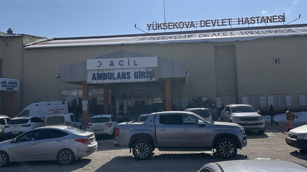 Hakkari'de Çocuğu Köpeklerin Saldırısı Sonucu Hayatını Kaybetti