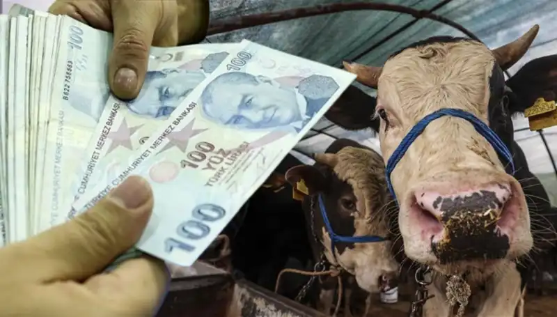 Kurban Bayramı'nda Emekli ve Memur Maaşları Ne Zaman Yatacak? İşte Cevap!