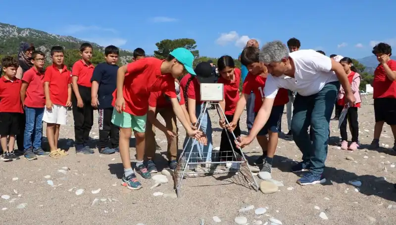 Kemer’de Caretta Caretta Koruma Yasakları Resmen Başladı
