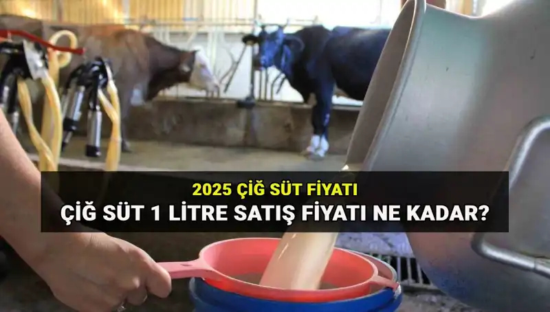 2025’te Çiğ Süt Fiyatları Belirlendi: Ne Kadar Artacak?