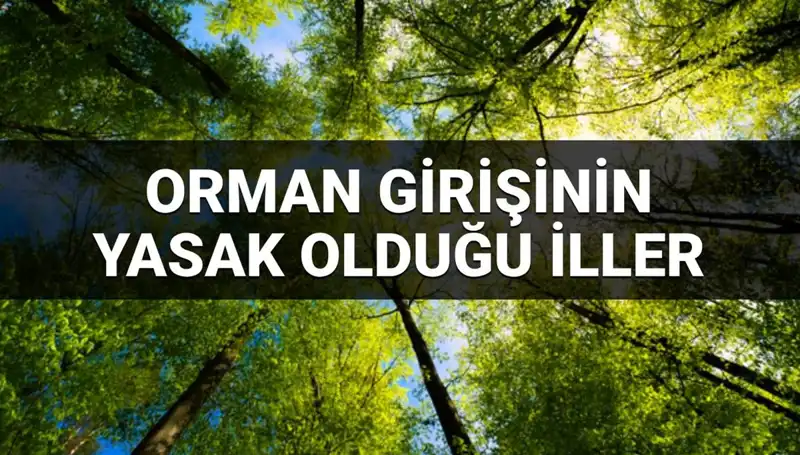 2025'te Orman Girişine Yasaklanan İller: Sınırlarını Öğrenin