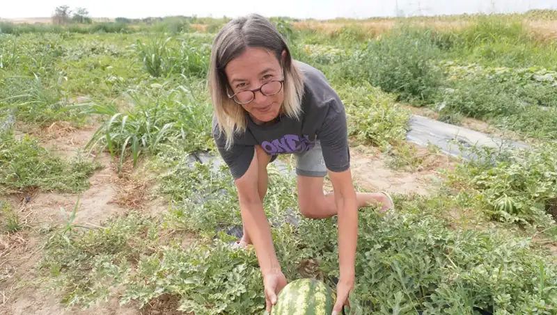 Masa Başı İşten Vazgeçip Köyde Yeni Bir Hayat Kurdu: Ürünlerini Satıyor