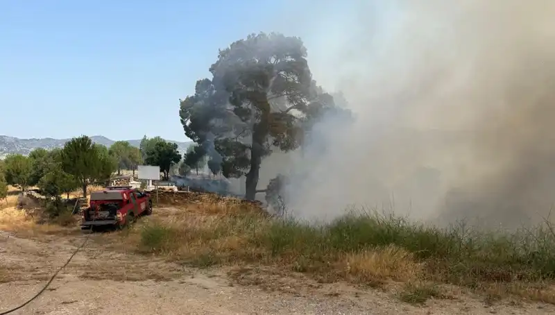 Muğla’da Çıkan Orman Yangını, Doğayı Tehdit Altına Aldı