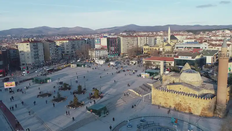 Kırşehir'de Bilim Dünyasını Şaşırtan Yeni Böcek Türü Keşfedildi