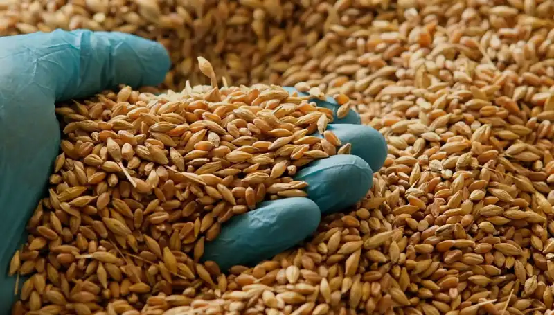 Kalp Hastalığı Riskinizi Azaltacak Beslenme İpuçları
