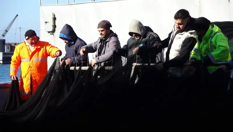 : Hamsi Avında Beklenmedik Kriz: Tekne İşletmecileri Erken Paydos Ediyor
