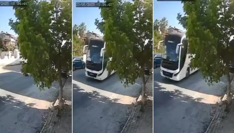 Yolda Yatan Köpeğe Çarpıp Giden Sürücünün Hikayesi Şaşırttı