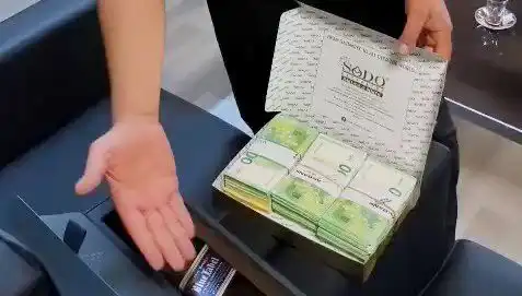 Manavgat Belediyesi'nde Şok Operasyon: Baklava Kutusundan Çıkan Avrolar Tüm Dikkatleri Üzerine Topladı