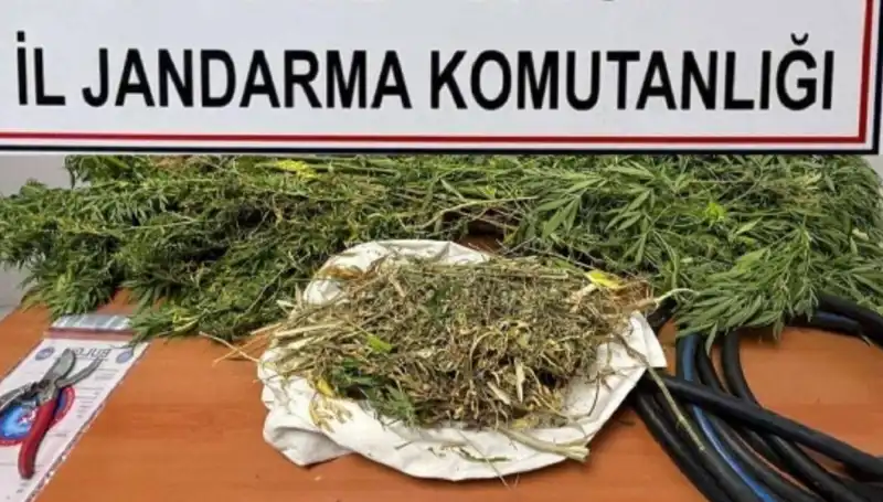 Niğde'de Uyuşturucu Operasyonu: Yüzlerce Kilogram Maddeye El Konuldu