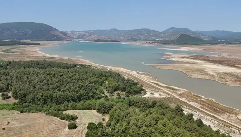 İzmir'de Korkutan Düşüş: Geçen Yıla Göre Yüzde 50 Azalma!